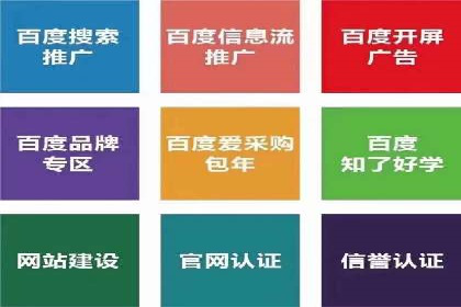 解析SEM托管公司经典案例：如何制定有效的广告策略